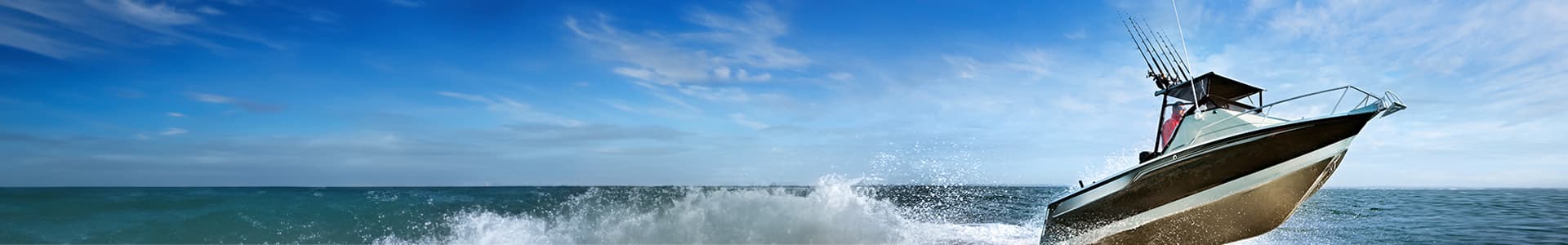 Marine & Boat Batteries